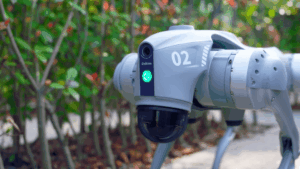 Bezpečnostní systém „Robotických psů“ je děravý jak ementál